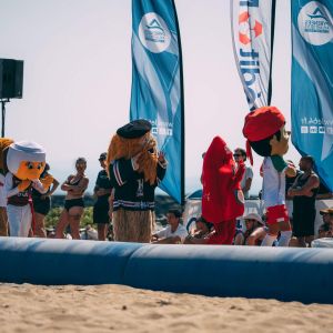 Beach Rugby D3